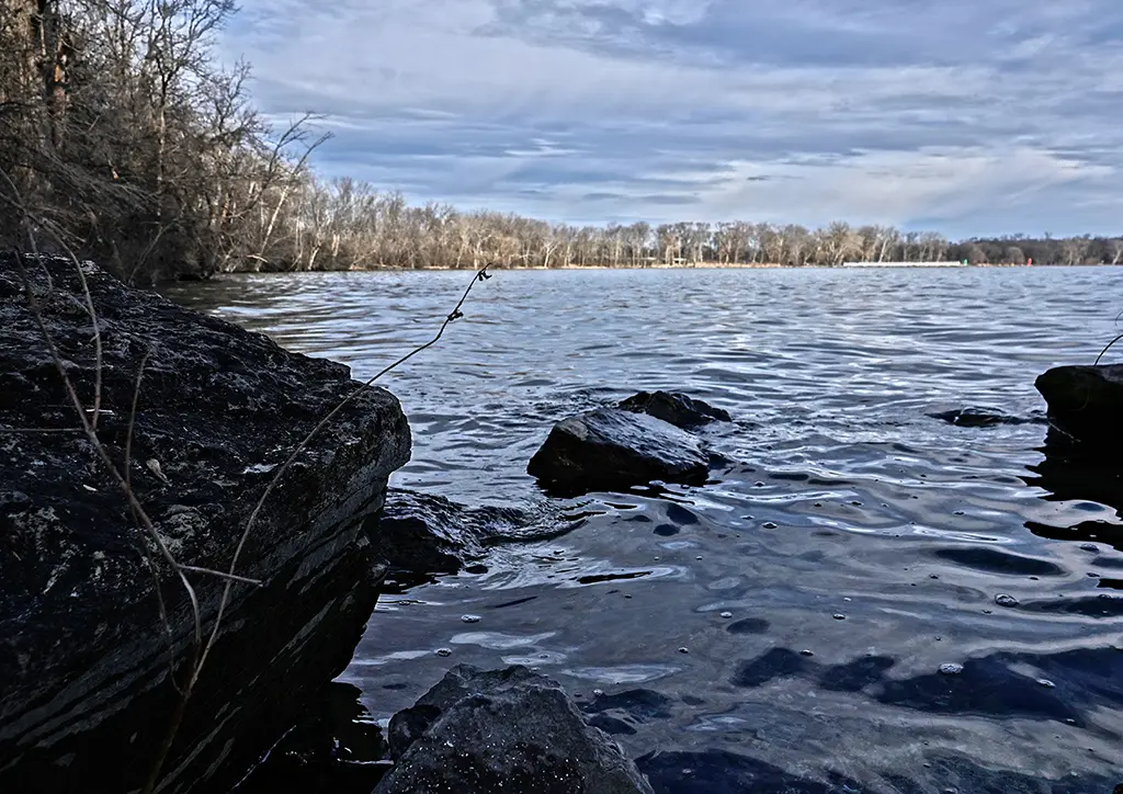 An Image of Maple Bay 02